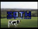 SOTW (Shit Of The Week) Intro