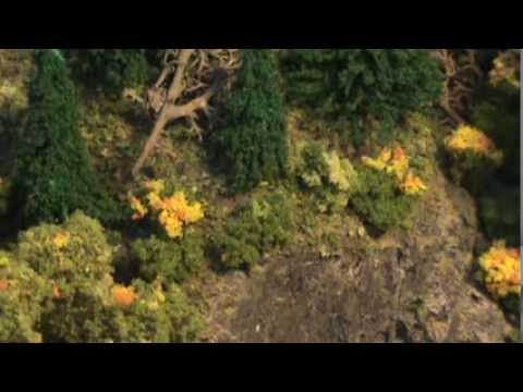 how to make n gauge trees