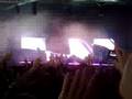 Mysteryland 2008 Roog Amen