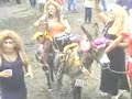 Sonido burraso