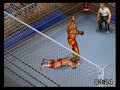 Hulk Hogan vs. Paul Orndorff Cage FPR Hulk Hogan vs. Paul Orndorff Cage FPR