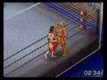 Hulk Hogan vs. Paul Orndorff Cage FPR
