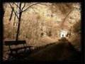 Sevket Ayhan  K�z G�nder