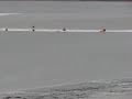 mascaret dans la baie du mont saint michel