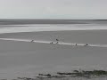 mascaret dans la baie du mont saint michel