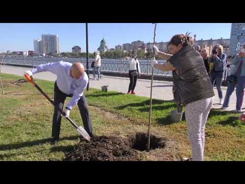 Просмотр видео