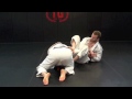 Armlock Escape To Omoplata Counter To Back Take