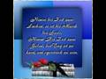meine startseitejap_0001.wmv