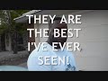 FORBIDDEN SECRETS - Clean Beautiful Carpet - El Paso Carpet Cleaning
