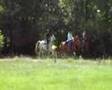 videos de Lits+Lauwers014 Mâlewei13