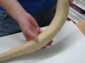 Lavender Albino Ball Python Lavender Albino Ball Python