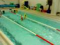 videos de Nuoto bimbi1