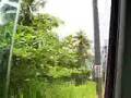 dominica east coast island tour