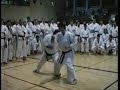 to the memory of sensei