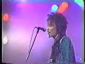 Angel Duster