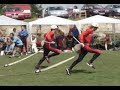 SDH �netice 2006