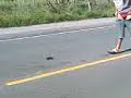 Marquinhos de Feira b�bado na estrada
