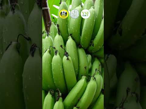 ศูนย์บ่มเพาะเกษตรกรรุ่นใหม่ด้านเกษตรอินทรีย์ บ้านสวนเพาะธรรม อ.บ้านลาด จ.เพชรบุรี