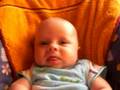 Jesper