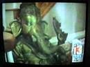 Channel 13 News - Travel Inspired Exotic Home Design