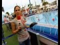 Blanca Llorca : Village de la Volvo Ocean Race