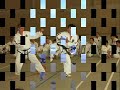 Taekwon - Do I.T.F.