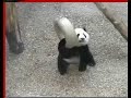 Mei Lan and the Silver Ring Mei Lan and the Silver Ring