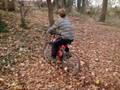 The Crippled Bike Returns