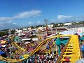 iguana park