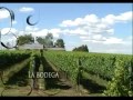 Antigua Bodega Stagnari - Español