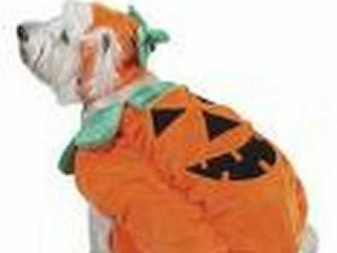 doggy halloween