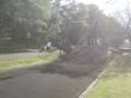 videos de Zip wire