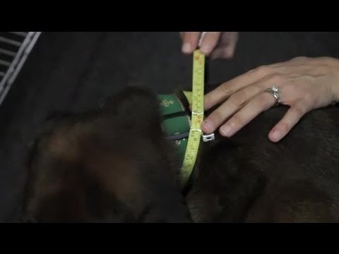 how to measure a 2 x 4