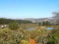 Ecotour06