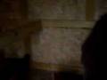 videos de my cousing trying to catch a chicken