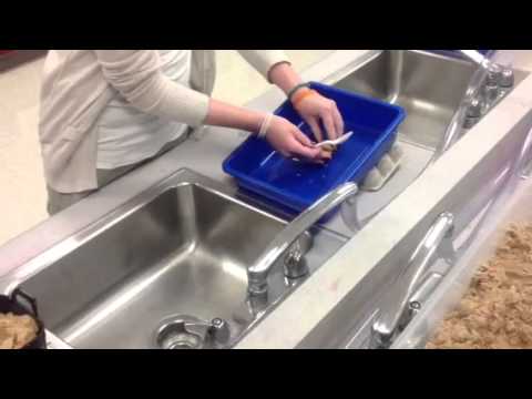 how to dissolve rocks