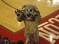 Davidson College Basketball