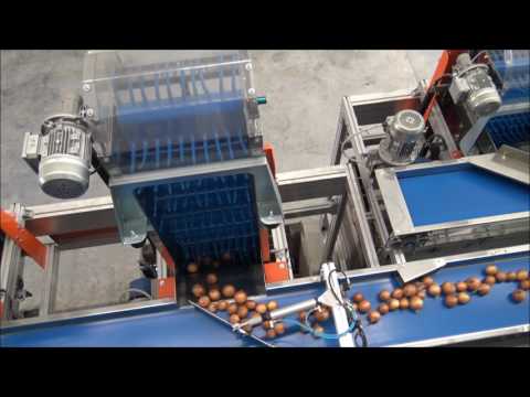 Food Automation Presents Elisam GT 4 Lane Optical onion grader