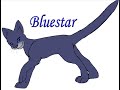 Meet the Cats of Warriors Meet the Cats of Warriors