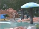 Male wearing a thong in El Salvador water theme park