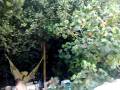 videos de Bodasso