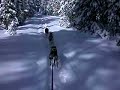 This is my team running without necklines.  The trail was packed snowmachine track with a foot of powder over.  The ski tracks were from me the previous day.  Holding a camera with dogs pulling is a challenge.  I chose the most gentle trail section to take this clip