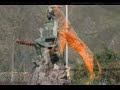 HOMENAJE A LA ESTIRPE INKA