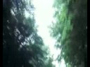 wildaken - RyHsinE TrAuM4