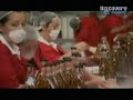 Viva México - Tequila