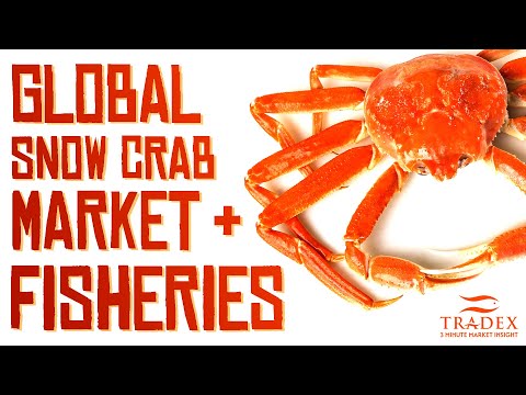 3MMI - Global Snow Crab Market and Fisheries Update for Alaska, Canada, and Russia