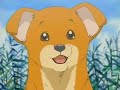 Massugu Ni Ikou~Star Massugu Ni Ikou~Star