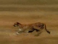 the thrill of the chase, happy endings you gotta love em