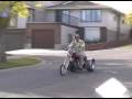 Chopper Mini Trike