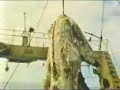 Video del mostro  hallado en japon